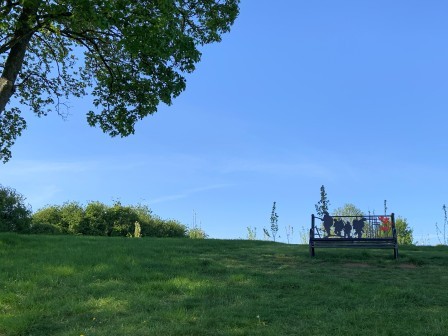 memorial bench at top of hill